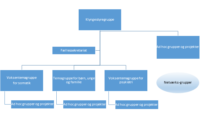 Organisering af klyngestyregruppen og temagrupper